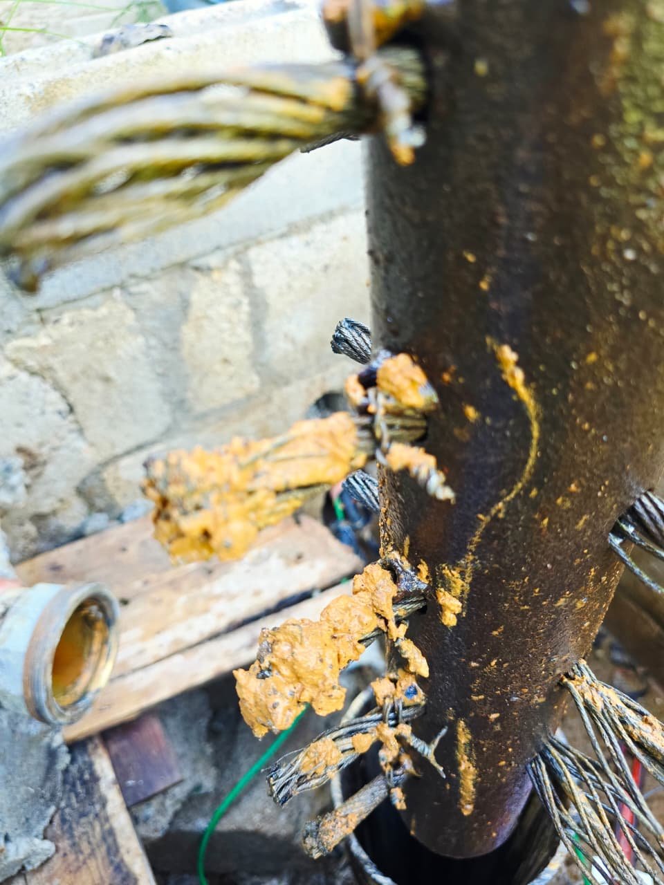 WhatsApp Image 2025-11-11 at 05.38.14