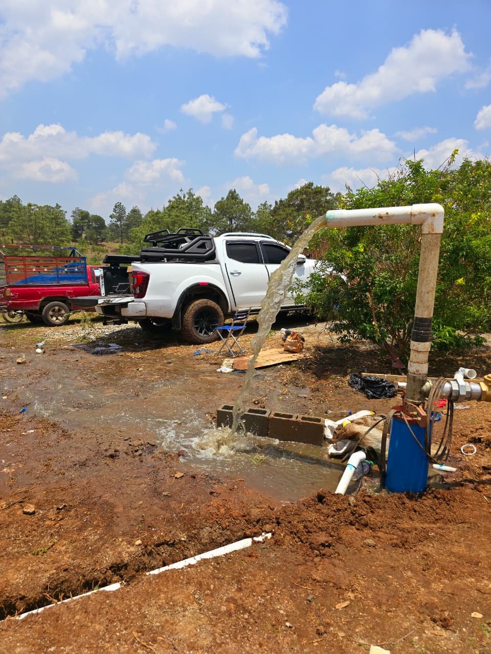 WhatsApp Image 2025-11-11 at 05.38.16