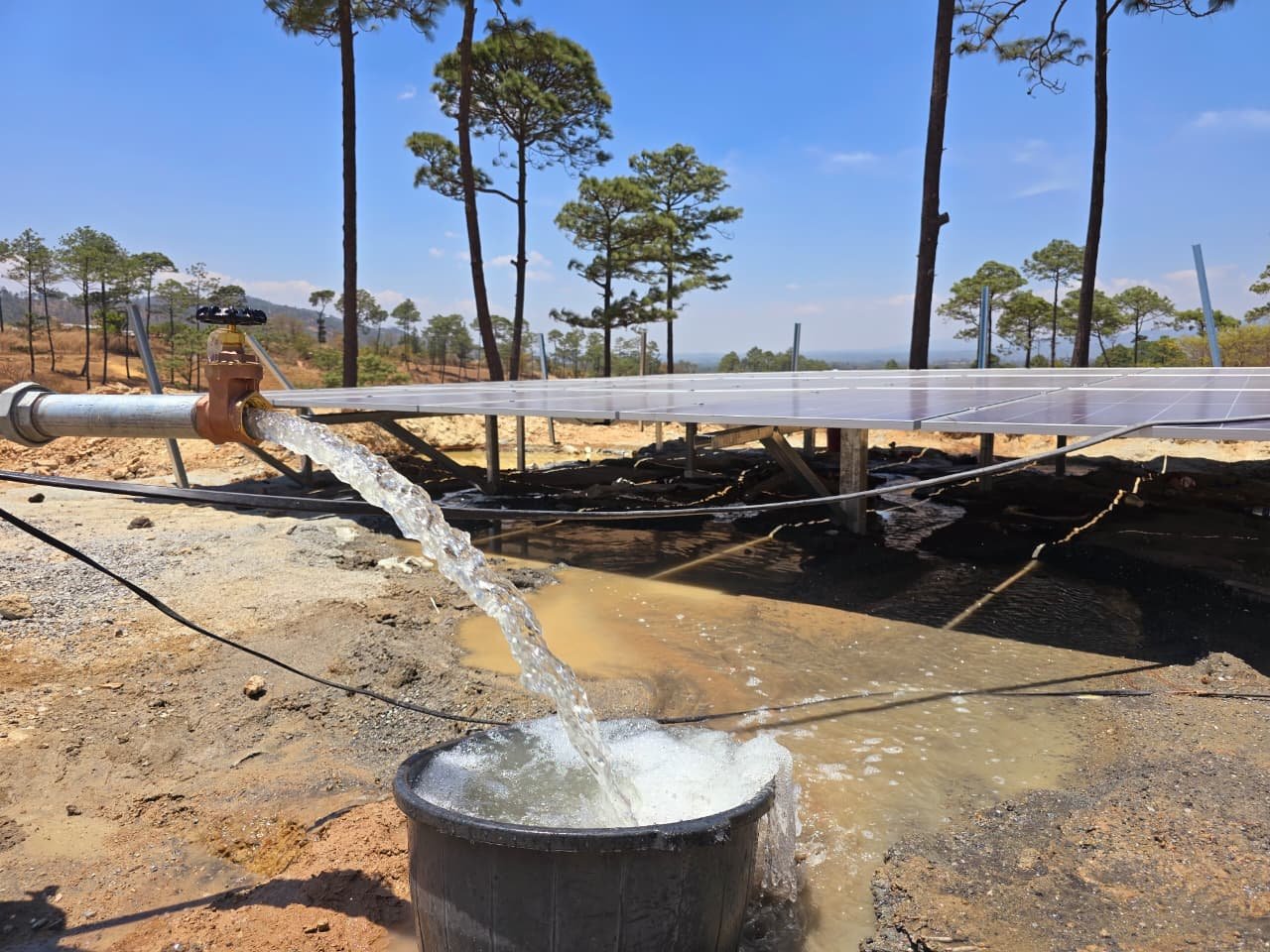 WhatsApp Image 2025-11-11 at 05.38.19