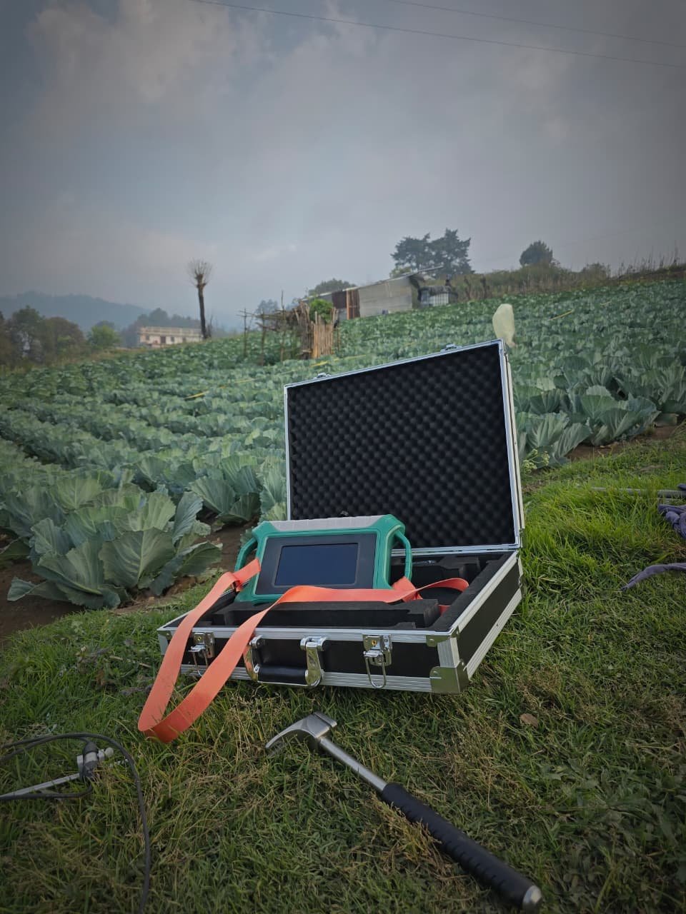 WhatsApp Image 2025-11-11 at 05.51.24 (1)