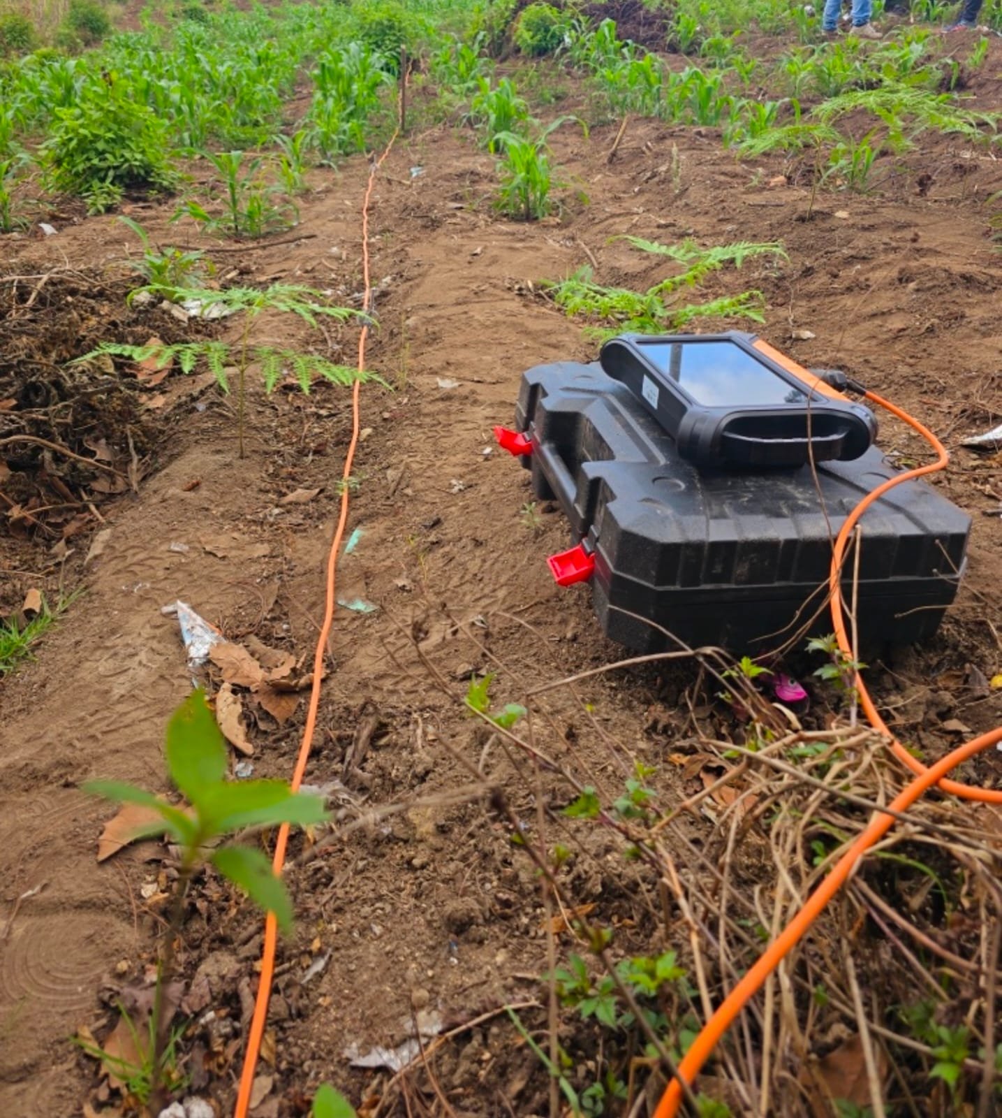 WhatsApp Image 2025-11-11 at 05.51.24 (2)